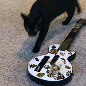 亿景图全景图林乐一
