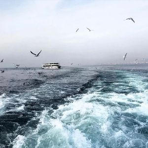 亿景图全景图林乐一
