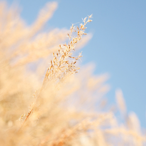 亿景图全景图林乐一
